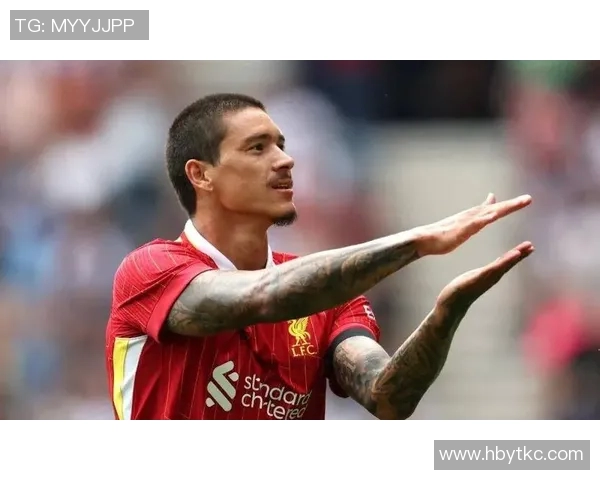 努涅斯的崛起与挑战：探索这位新星在足球世界中的影响力与未来潜力